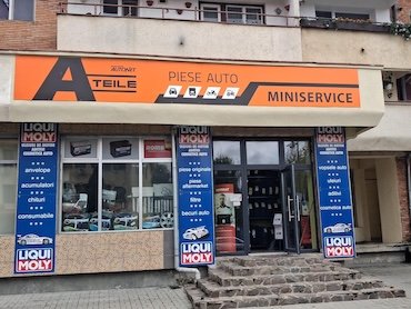 SC SERVICII MINISERVICE SRL